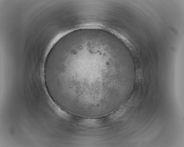 X0000110911470200906181333