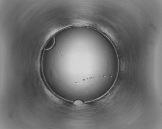 X0000110911471200906181333