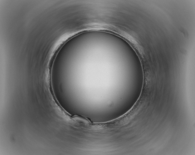 X0000110911472200906181333