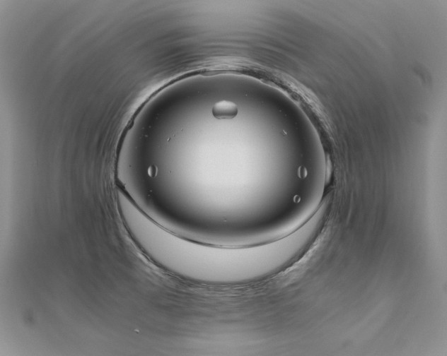 X0000110911473200906181333