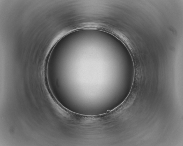 X0000110911475200906181333