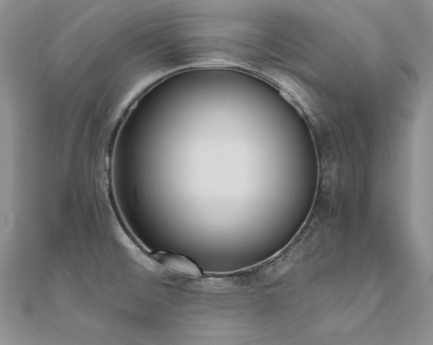 X0000110911476200906181333