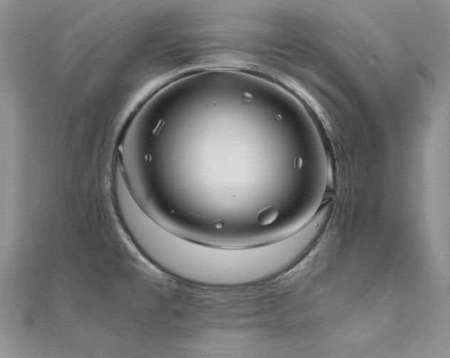 X0000110911477200906181333