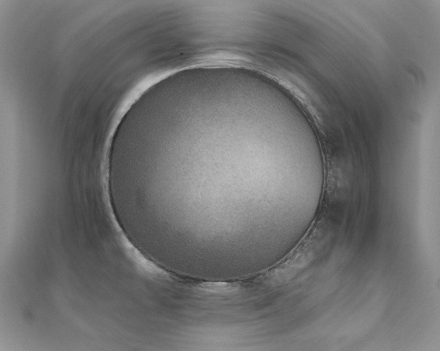 X0000110911478200906181333