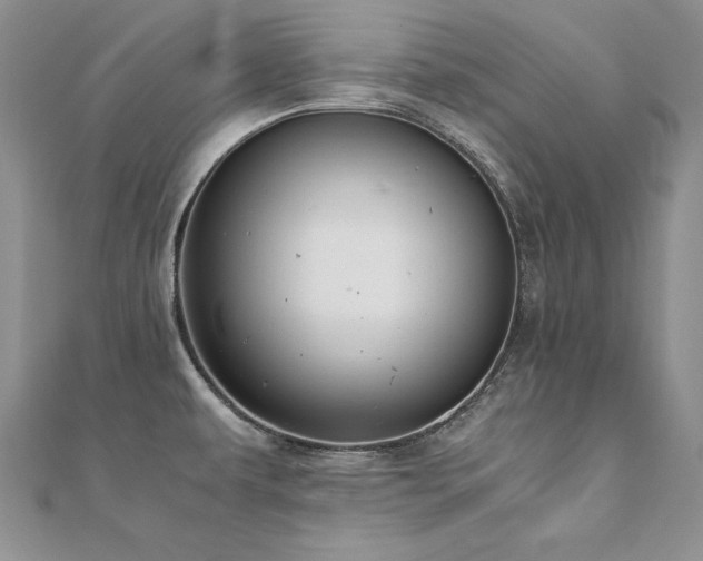 X0000110911479200906181333