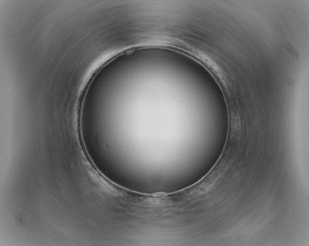 X0000110911480200906181333