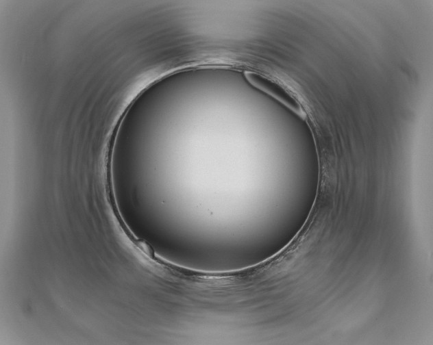 X0000110911483200906181333