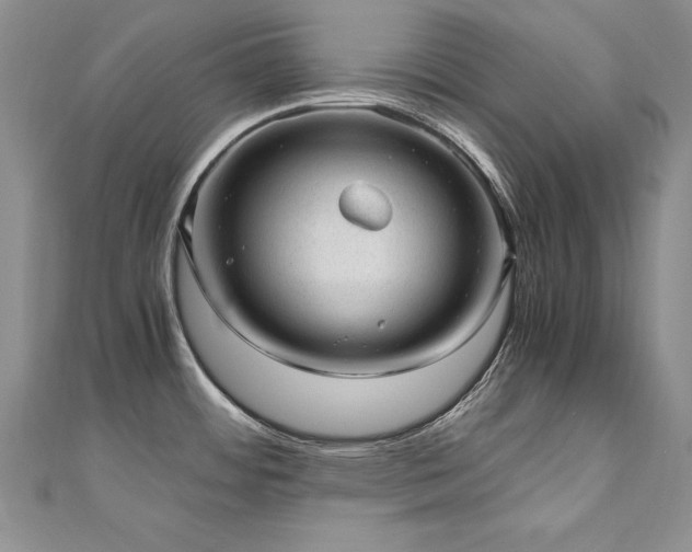 X0000110911484200906181333