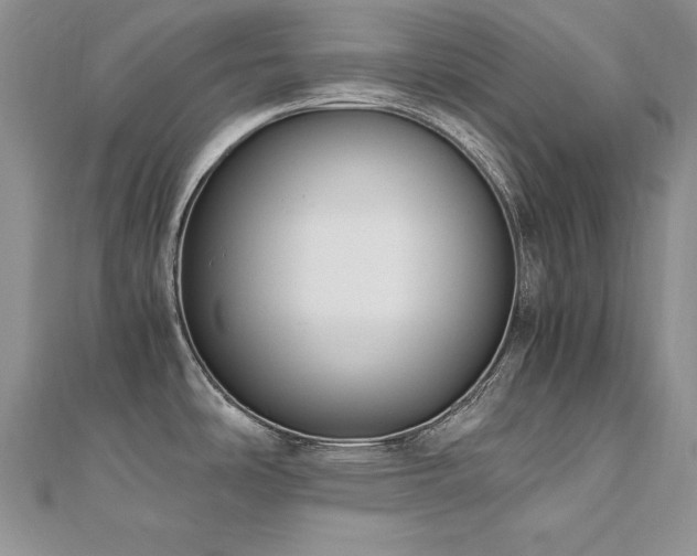 X0000110911486200906181333