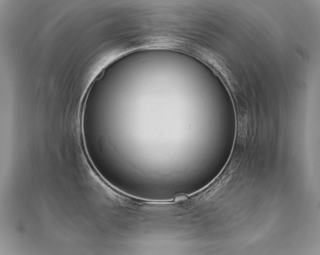 X0000110911487200906181333