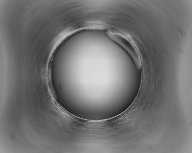 X0000110911488200906181333