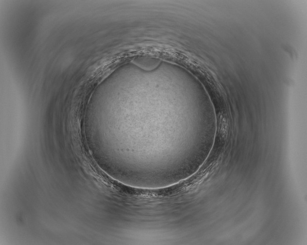 X0000110911489200906181332