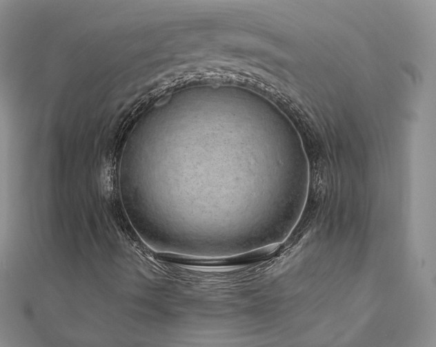 X0000110911490200906181332