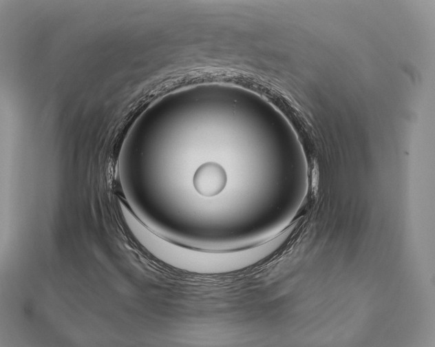 X0000110911492200906181332