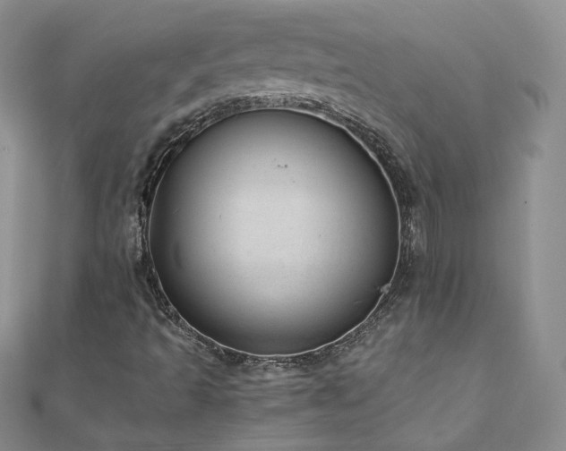 X0000110911493200906181332