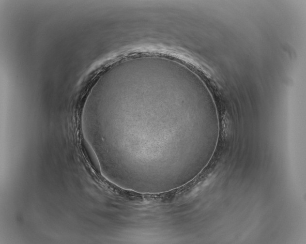 X0000110911494200906181332