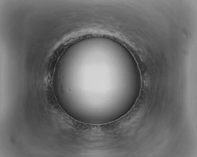 X0000110911495200906181332