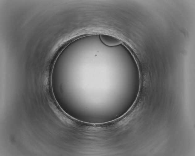 X0000110911499200906181332