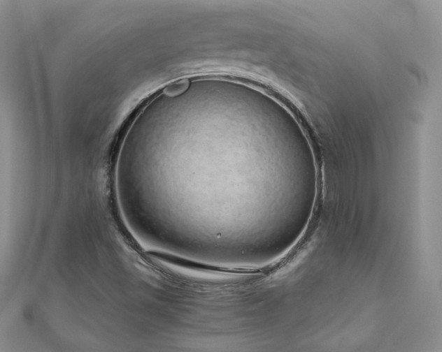 X0000110911501200906181332