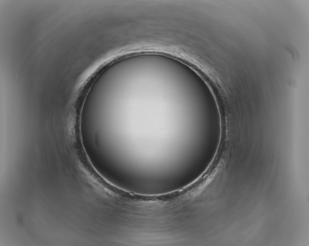 X0000110911502200906181332