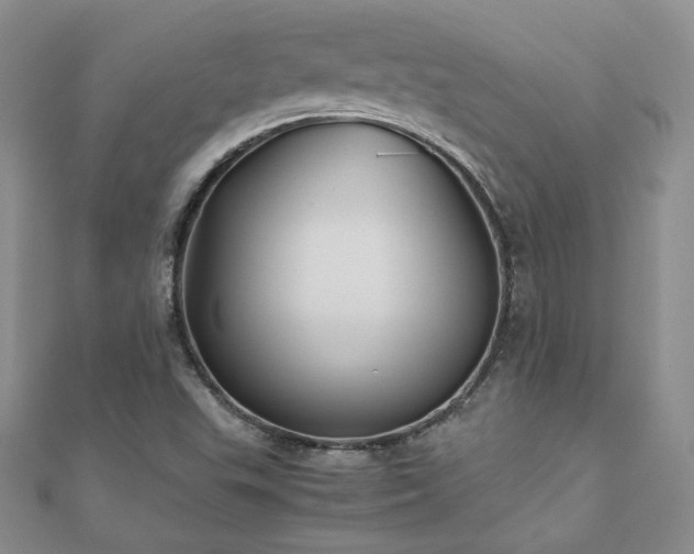 X0000110911503200906181332