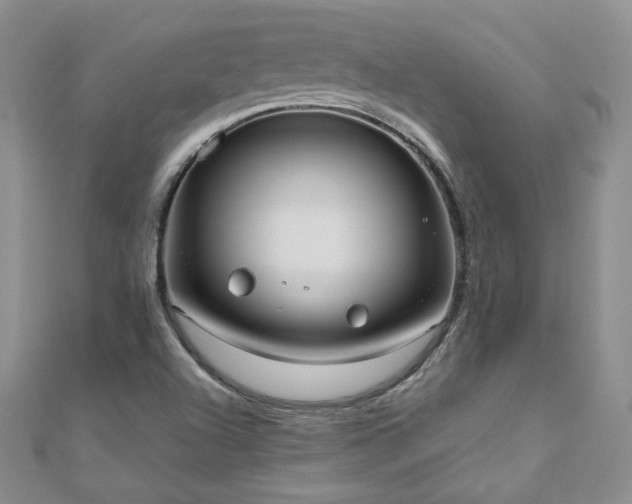 X0000110911504200906181332