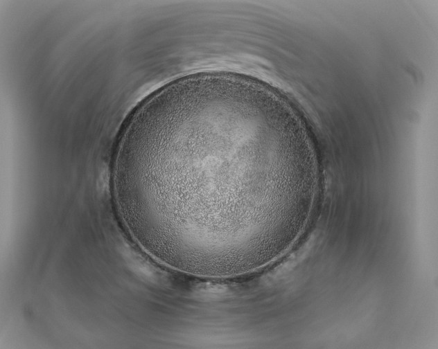 X0000110911505200906181332