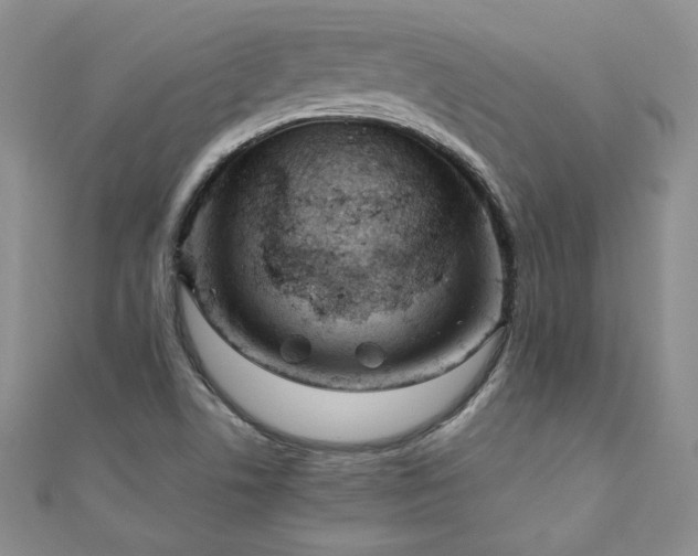 X0000110911506200906181332