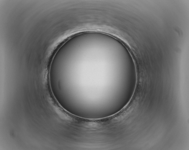 X0000110911507200906181332