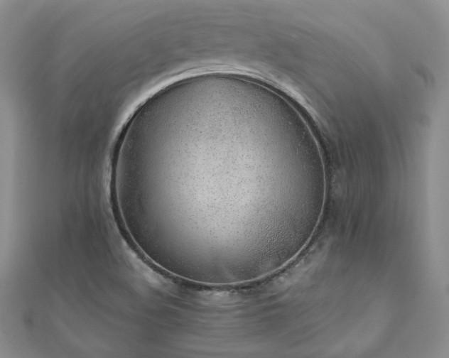 X0000110911508200906181332