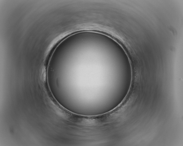 X0000110911509200906181332