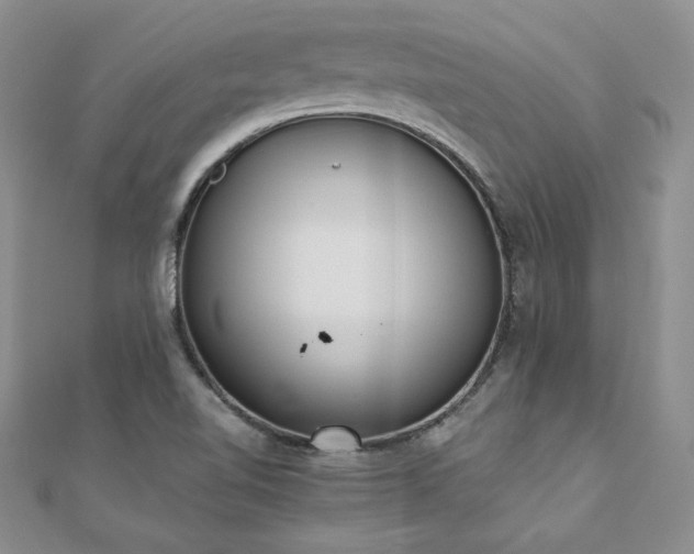 X0000110911510200906181332