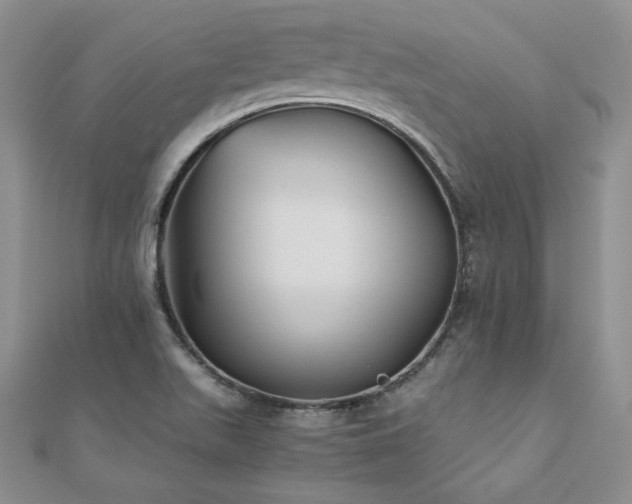 X0000110911511200906181332