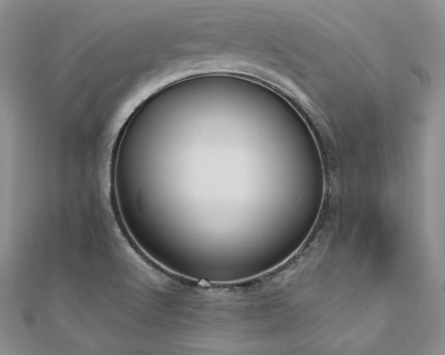 X0000110911512200906181332