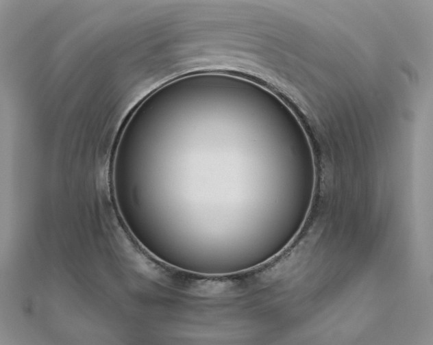 X0000110911513200906181332