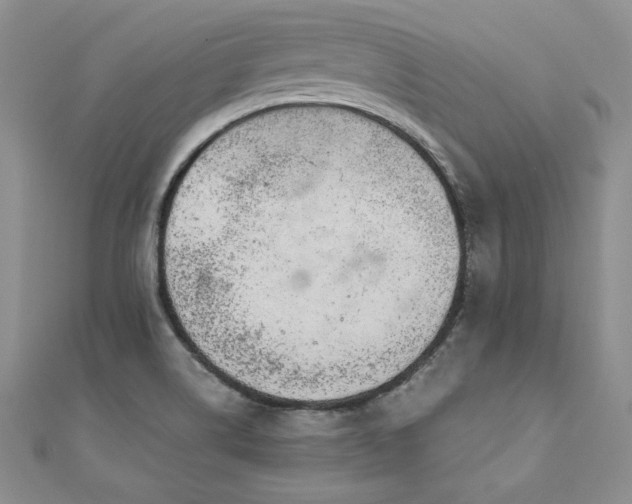 X0000110911514200906181332