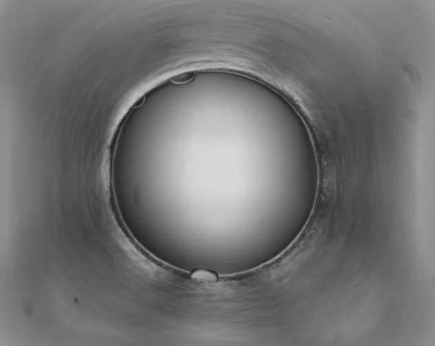 X0000110911516200906181332