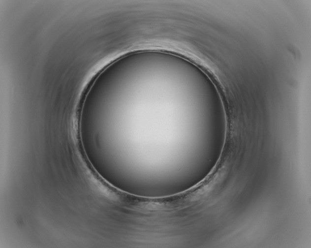 X0000110911517200906181332