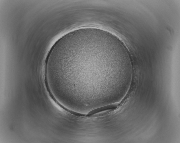 X0000110911519200906181332