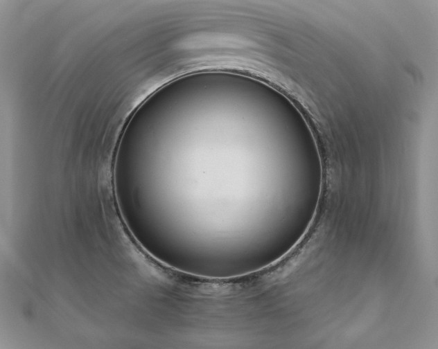 X0000110911521200906181332