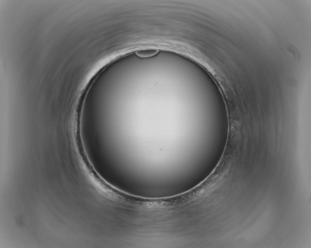 X0000110911523200906181332