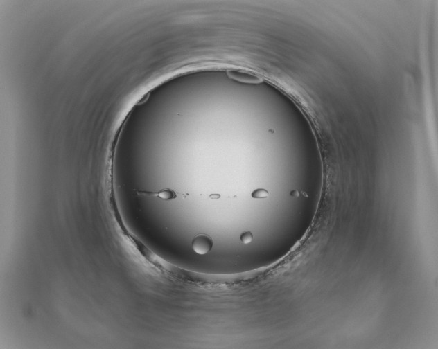 X0000110911524200906181332