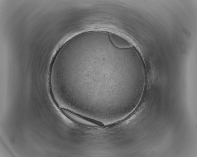 X0000110911525200906181332