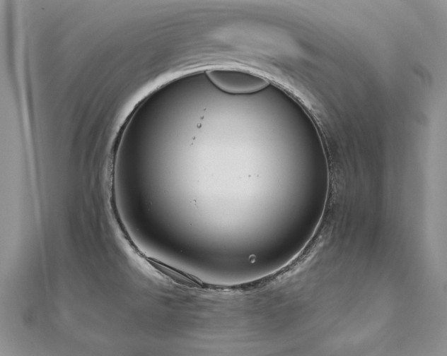 X0000110911526200906181332