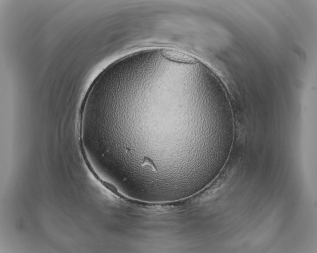 X0000110911527200906181332