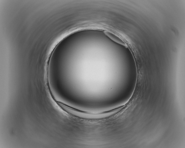 X0000110911528200906181332