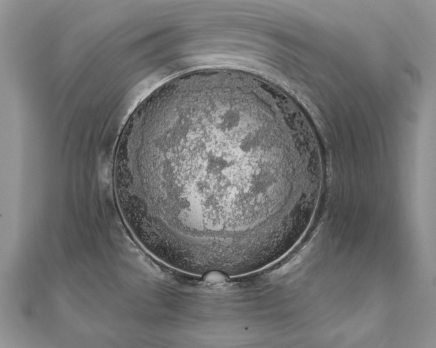 X0000110911529200906181332