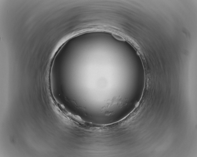 X0000110911530200906181332