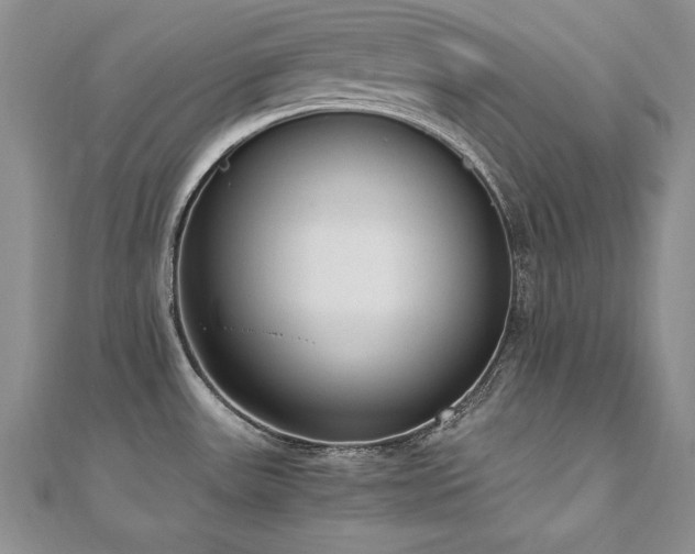 X0000110911531200906181332