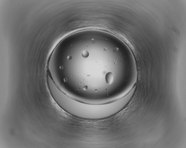 X0000110911532200906181332